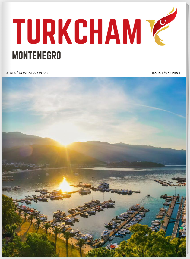 TurkCham Dergi Sayı 1